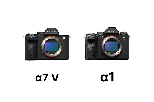 Sony α7 V(ILCE-7M5)とα1(ILCE-1)を比較|画質・AF・動画・価格の違いと選び方