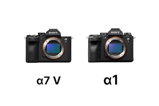 Sony α7 V(ILCE-7M5)とα1(ILCE-1)を比較|画質・AF・動画・価格の違いと選び方