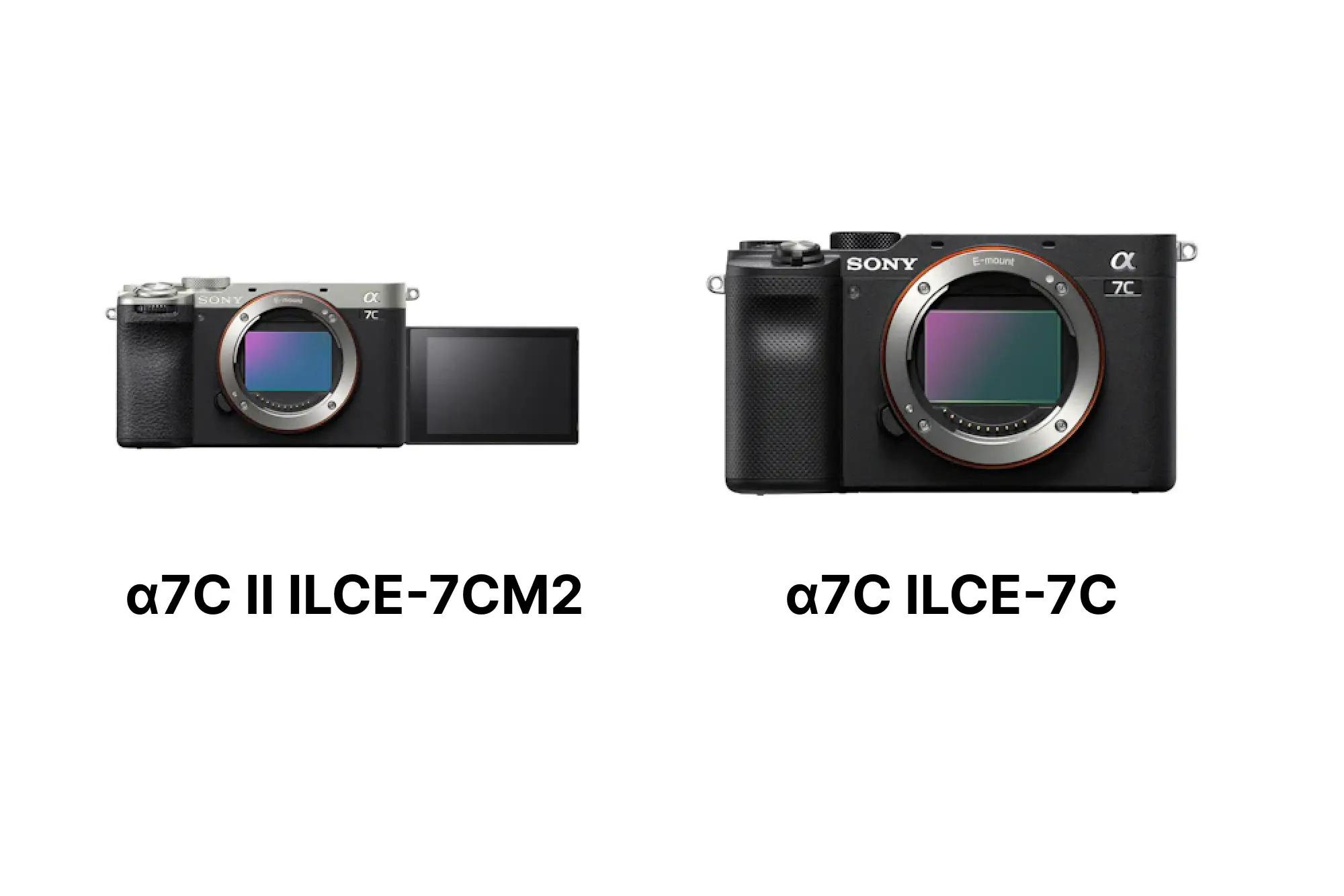 SONYα7C IIとα7Cを徹底比較！違いが効くのは画質？AF？動画？用途別に 