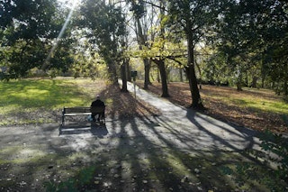 手ブレ補正の比較：7.0段は夜景と日常にどう効く？