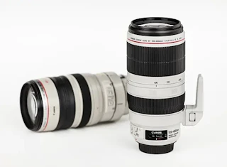 【2026年版】EF 100-400mm F4.5-5.6L IS II USMのレビュー比較まとめ。野鳥・スポーツに最適