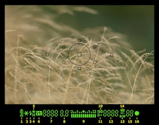 Canon EOS 5D Mark IIのAF性能と連写のレビュー