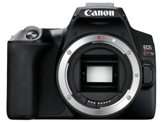 Canon EOS Kiss X10：軽くて扱いやすい。初心者が始めやすい定番一眼レフ
