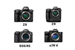Nikon Z8と競合機の比較