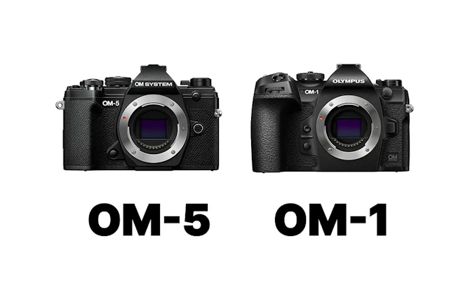 OM SYSTEM OM-5とOM SYSTEM OM-1を徹底比較！画質・AF・手ブレ・動画・携帯性の違い