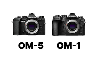 OM SYSTEM OM-5とOM SYSTEM OM-1を徹底比較！画質・AF・手ブレ・動画・携帯性の違い