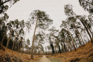 超広角レンズの使い道:風景・建築・星景・室内で真価
