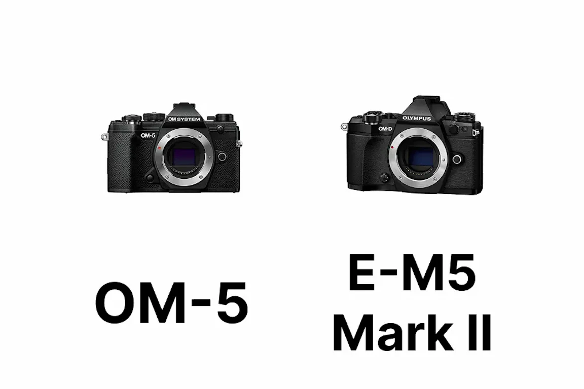 OM SYSTEM OM-5とOLYMPUS OM-D E-M5 Mark IIを徹底比較|画質・AF・動画・手ブレ補正の違い