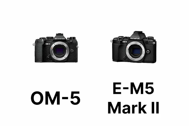 OM SYSTEM OM-5とOLYMPUS OM-D E-M5 Mark IIを徹底比較|画質・AF・動画・手ブレ補正の違い