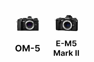 OM SYSTEM OM-5とOLYMPUS OM-D E-M5 Mark IIを徹底比較|画質・AF・動画・手ブレ補正の違い