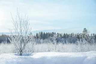 三分割と水平線：まず“曲がらない”だけで完成度が上がる