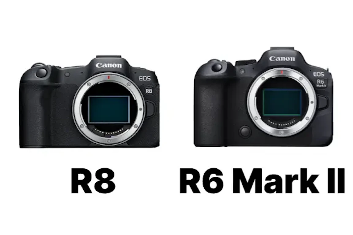 【2026年版】Canon EOS R8とEOS R6 Mark IIを徹底比較!同じ画質で何が違う?価格差の理由と選び方
