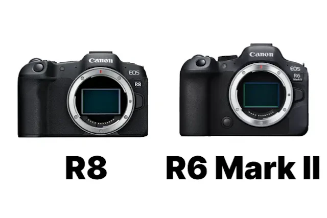 【2026年版】Canon EOS R8とEOS R6 Mark IIを徹底比較！同じ画質で何が違う？価格差の理由と選び方