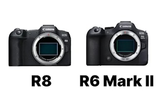 Canon EOS R8とEOS R6 Mark IIはどちらを選ぶべきか|結論と選び分けの軸を整理