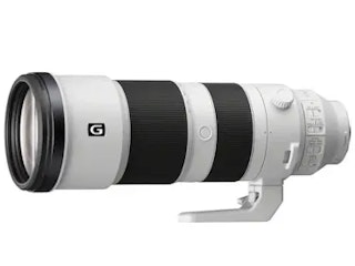 Sony FE 200-600mm F5.6-6.3 G OSS：野鳥とフィールドスポーツの本命レンジ