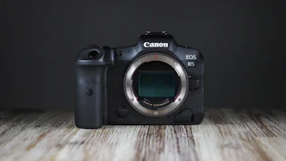 Canon EOS R5のレビュー比較まとめ。ハイブリッド撮影の定番
