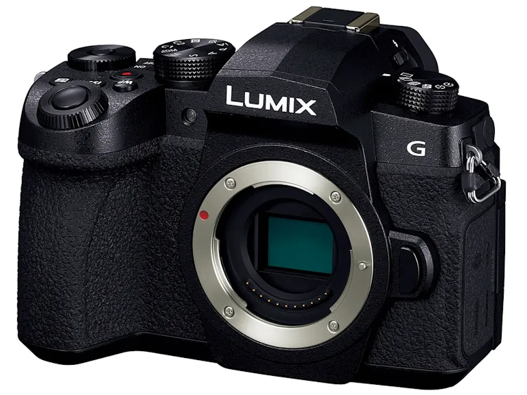 LUMIX G99(DC-G99) ボディの新品/中古の在庫一覧 2枚目