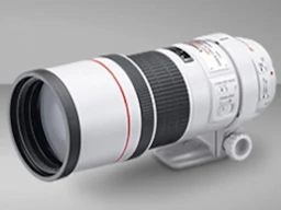 EF 300mm F4L IS USM
