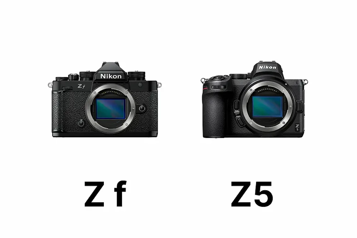 【2026年版】Nikon Z fとNikon Z5を徹底比較|どっちを選ぶ?画質・AF・動画・操作性・価格差の違い