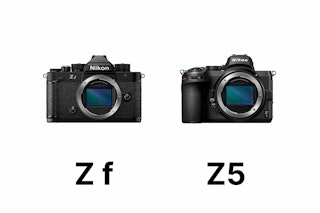 【2026年版】Nikon Z fとNikon Z5を徹底比較|どっちを選ぶ?画質・AF・動画・操作性・価格差の違い
