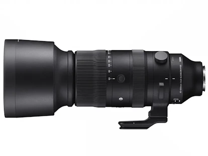60-600mm F4.5-6.3 DG DN OS