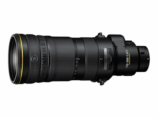 ニコン NIKKOR Z 120-300mm f/2.8 TC VR S