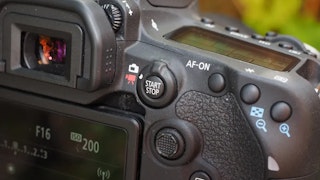 Canon EOS 90Dの動画性能レビュー（4K・FHD・119.88p/100pの実用）
