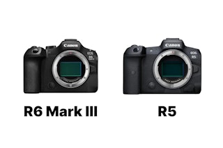 EOS R6 Mark IIIとEOS R5はどちらを選ぶべきか｜画素数・連写・動画性能で選ぶ