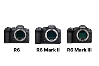 EOS R6・EOS R6 Mark II・EOS R6 Mark IIIはどれを選ぶべきか