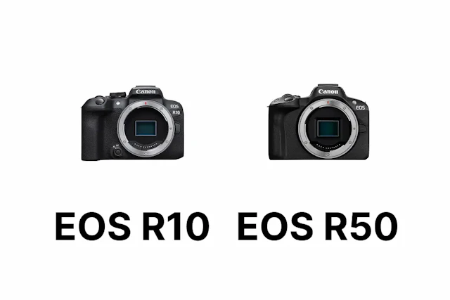 【2026年版】Canon EOS R10とEOS R50を比較|連写・動画・操作性の違い
