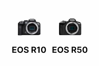 【2026年版】Canon EOS R10とEOS R50を比較|連写・動画・操作性の違い