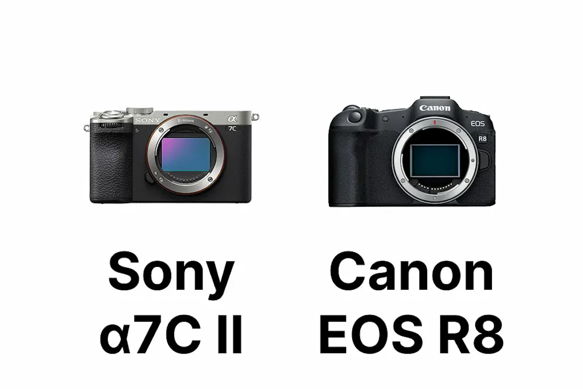 【2026年版】Sony α7C IIとCanon EOS R8を比較｜静止画・動画・連写・携帯性から選び方を解説