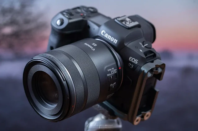 RF 85mm F2 マクロ IS STMのレビュー比較まとめ ポートレート兼クローズアップ向けの中望遠単焦点