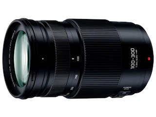 パナソニック LUMIX G VARIO 100-300mm/F4.0-5.6 II/POWER O.I.S.