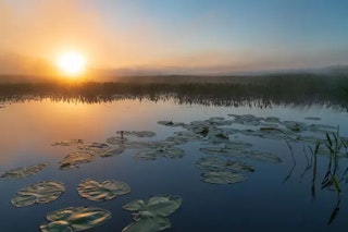 Nikon D780の画質評価