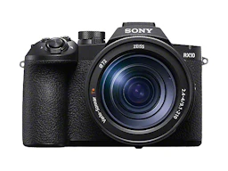 RX10 V(DSC-RX10M5)