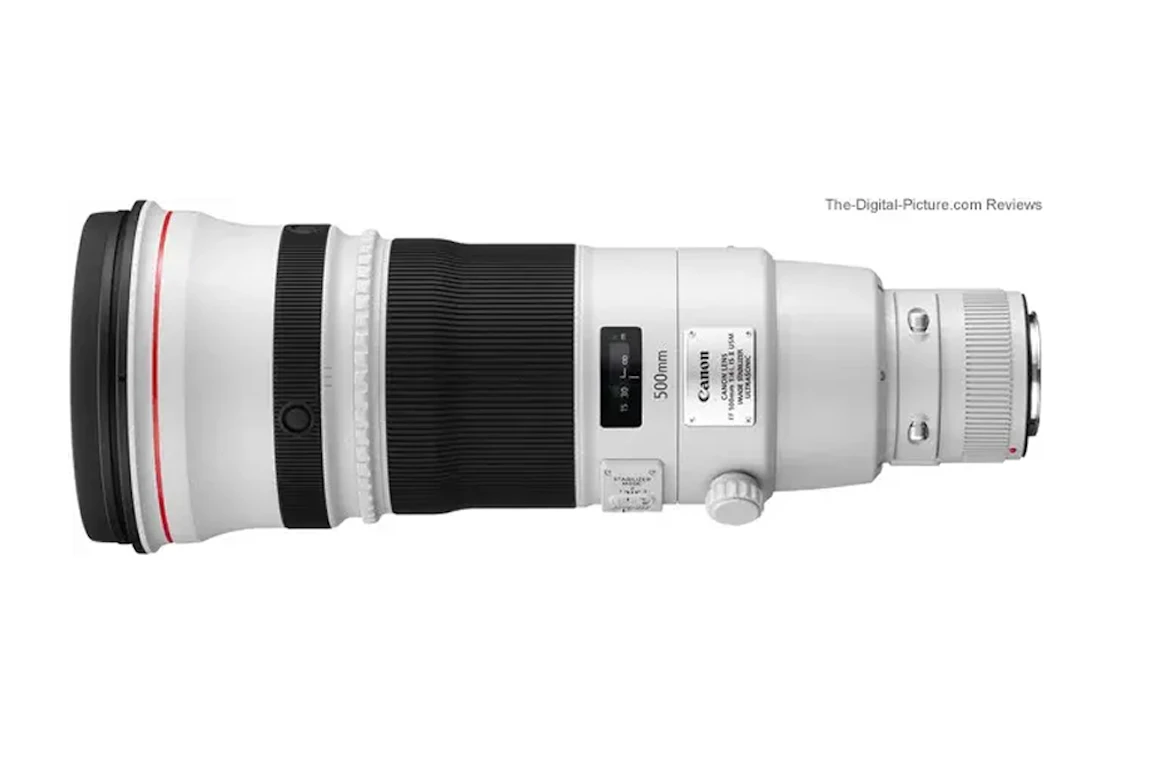 【2026年版】Canon EF500mm F4L IS II USMレビュー比較まとめ 画質・AF・手ブレ補正や競合比較