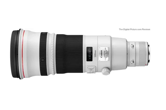 【2026年版】Canon EF500mm F4L IS II USMレビュー比較まとめ 画質・AF・手ブレ補正や競合比較