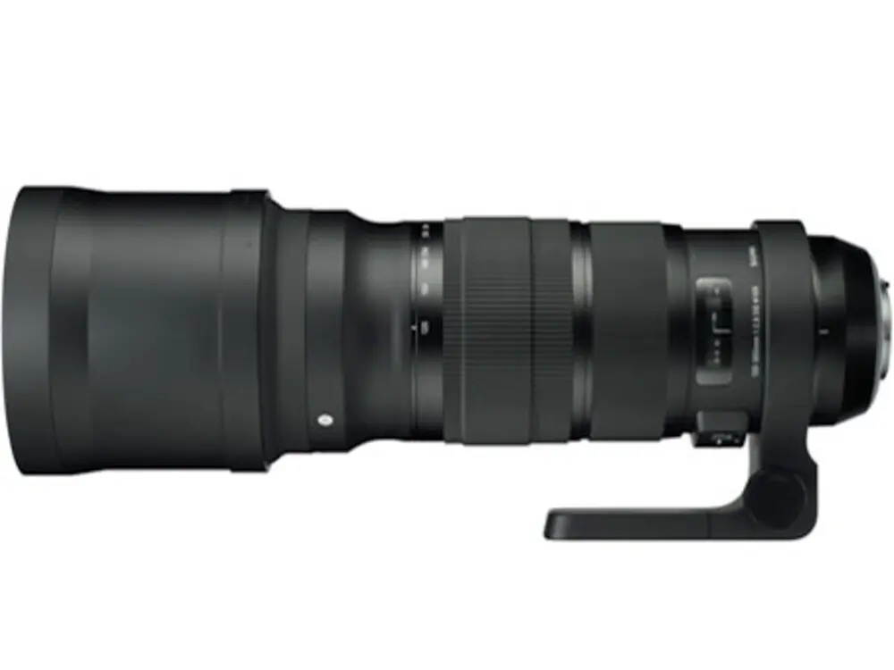 シグマ(Sigma) 120-300mm F2.8 DG OS HSMの作例・価格・レビュー