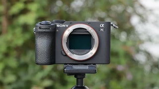 Sony α7C IIとCanon EOS R8の主要仕様比較