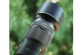 【2026年版】OLYMPUS M.ZUIKO DIGITAL ED 100-400mm F5.0-6.3 ISレビュー比較まとめ 画質・AF・手ぶれ補正・競合レンズを解説