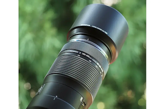 【2026年版】OLYMPUS M.ZUIKO DIGITAL ED 100-400mm F5.0-6.3 ISレビュー比較まとめ 画質・AF・手ぶれ補正・競合レンズを解説