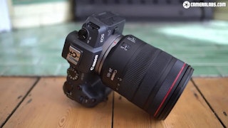 Canon EOS RPのレンズ選び（RF/EFアダプター運用）のレビュー