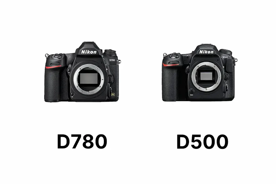 Nikon D780とD500を徹底比較|画質・AF・連写・動画・価格の違いと選び方