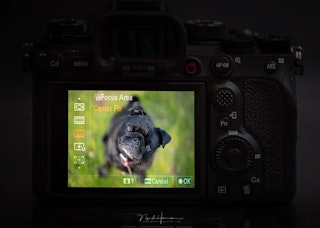 Sony α1 ILCE-1の画質評価(解像・階調・高感度)