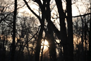 Sony FE 70-200mm F2.8 GM OSS II(SEL70200GM2)のボケ味・逆光耐性のレビュー