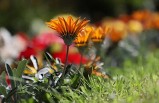 Canon EOS 6D Mark IIの画質評価（色・高感度・ダイナミックレンジ）