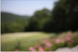 Canon rf28mm f2.8 stmのボケ描写と“28mmらしい”表現