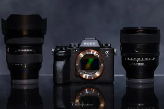 【2026年版】Sony α1 ILCE-1のレビュー比較まとめ。スポーツ・野鳥・映像制作の“一台完結”に最適