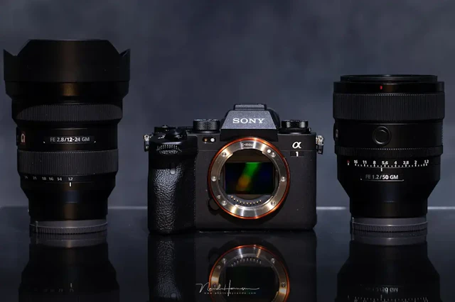 【2026年版】Sony α1 ILCE-1のレビュー比較まとめ。スポーツ・野鳥・映像制作の“一台完結”に最適